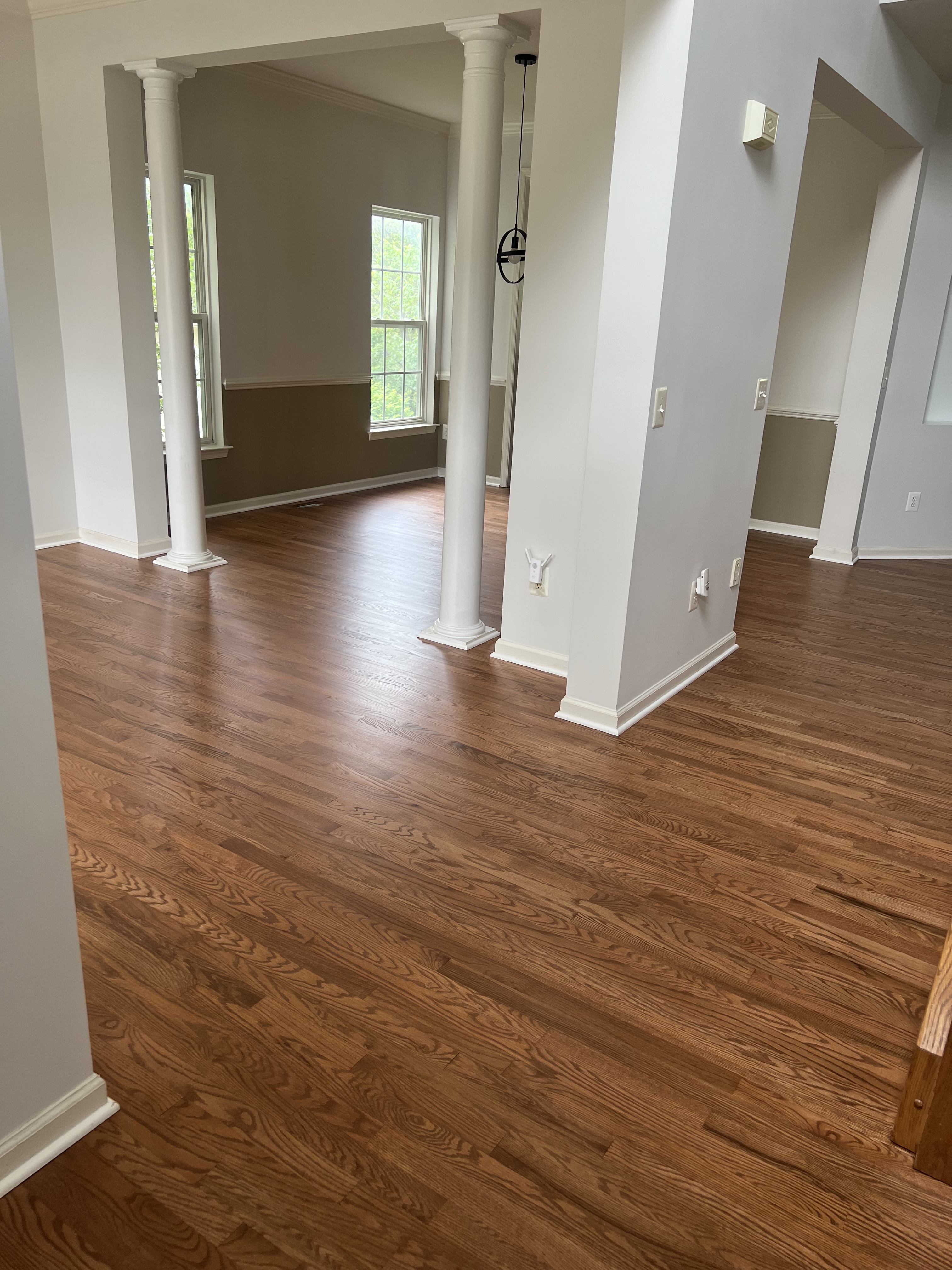 Dark wood flooring connecting living spaces.